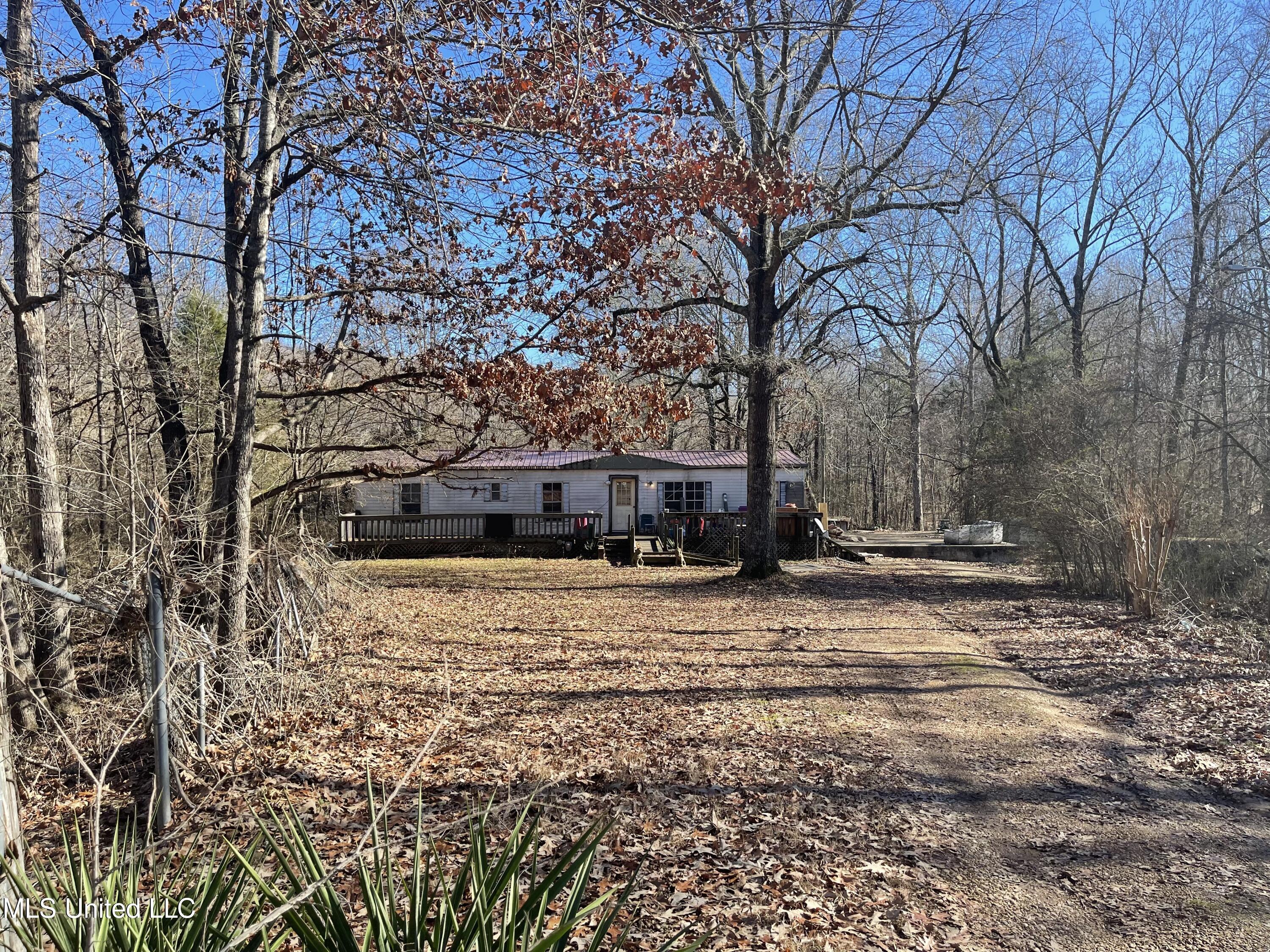 313 Minton Road Byhalia, MS 38611 - Photo 7 of 11 IMG_2351 2