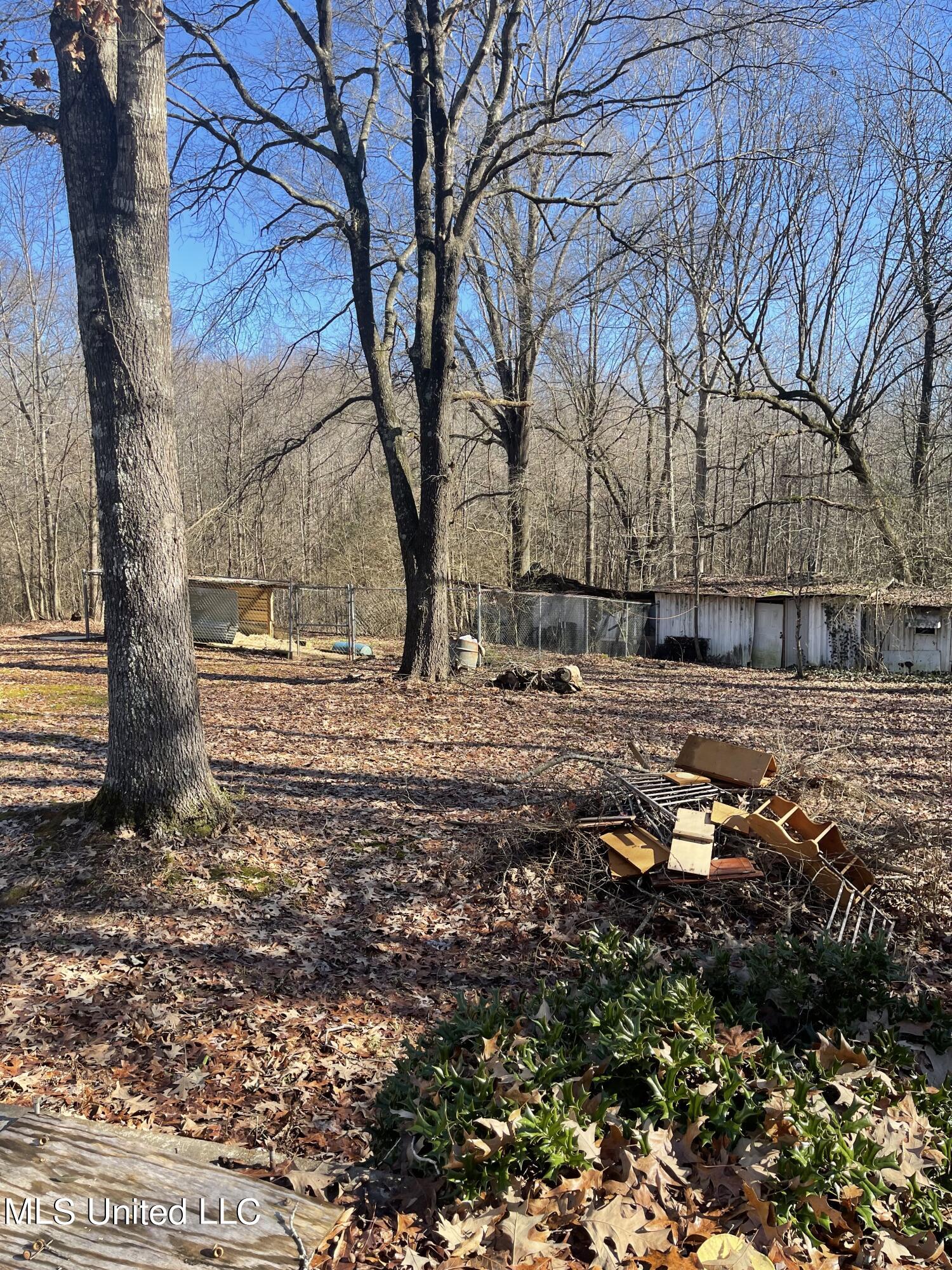313 Minton Road Byhalia, MS 38611 - Photo 8 of 11 IMG_2353 2