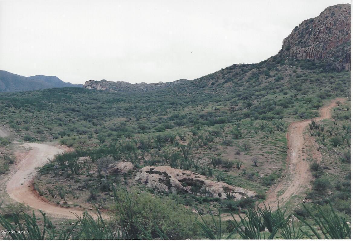140 Tejano Springs Road Rio Rico, AZ 85648 - Photo 18 of 18 a view of a mountain range with trees in the background