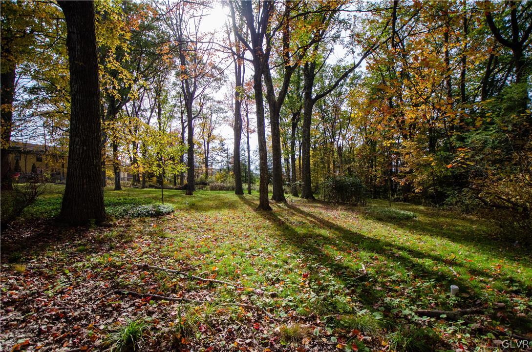 152 Sterling Road Mount Pocono, PA 18344 - Photo 33 of 36 a view of a yard with trees