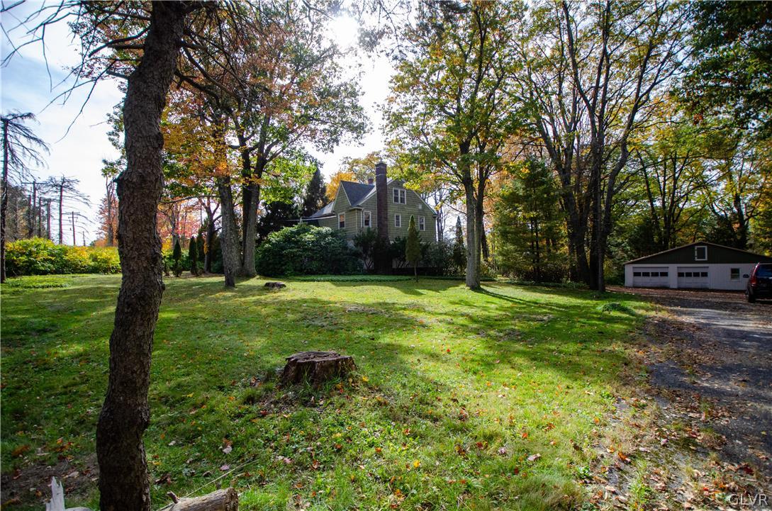 152 Sterling Road Mount Pocono, PA 18344 - Photo 36 of 36 a view of backyard with tree