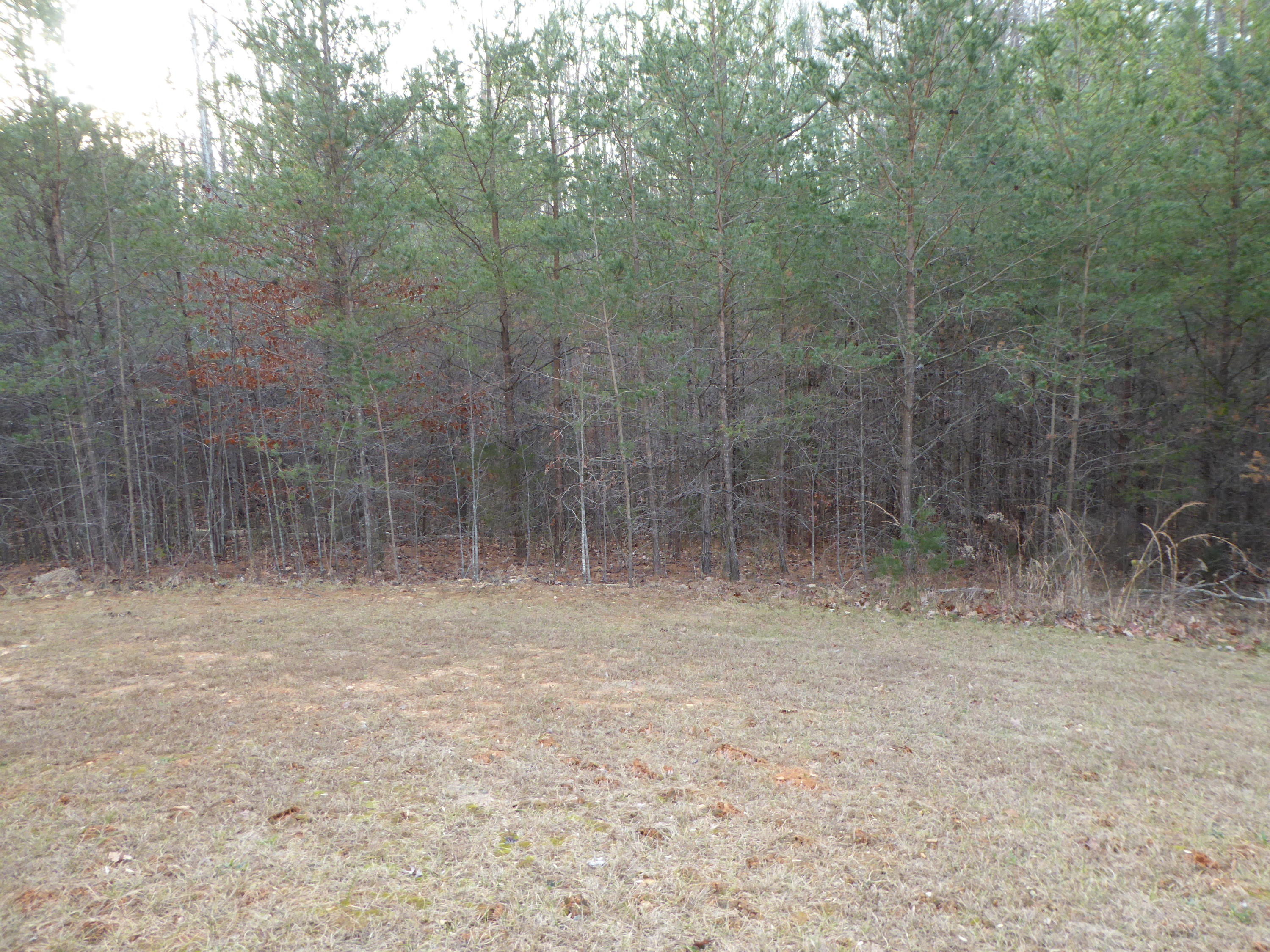 63 Courtland Road Rocky Mount, VA 24151 - Photo 23 of 45 22 Property