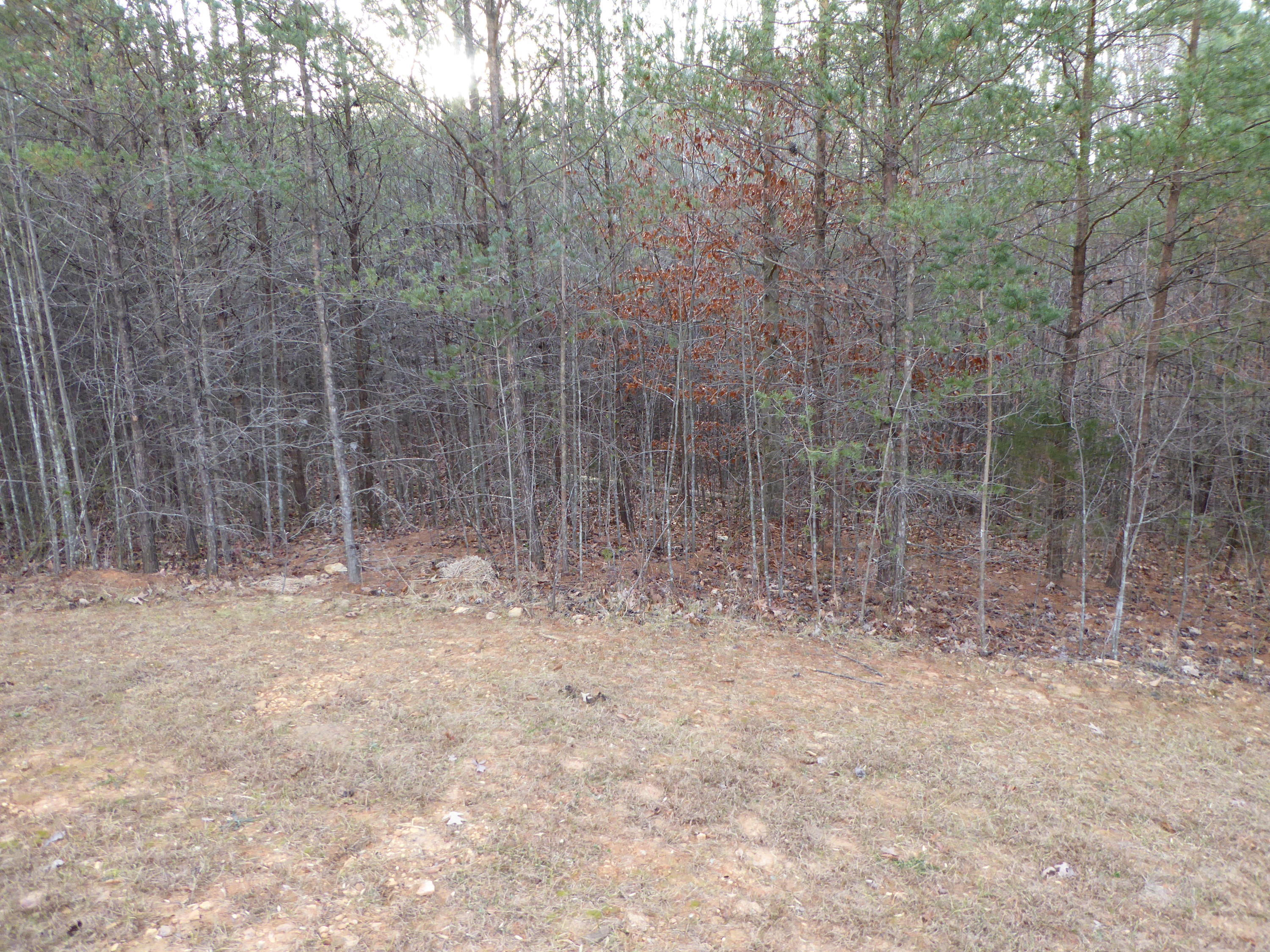 63 Courtland Road Rocky Mount, VA 24151 - Photo 44 of 45 42 Property
