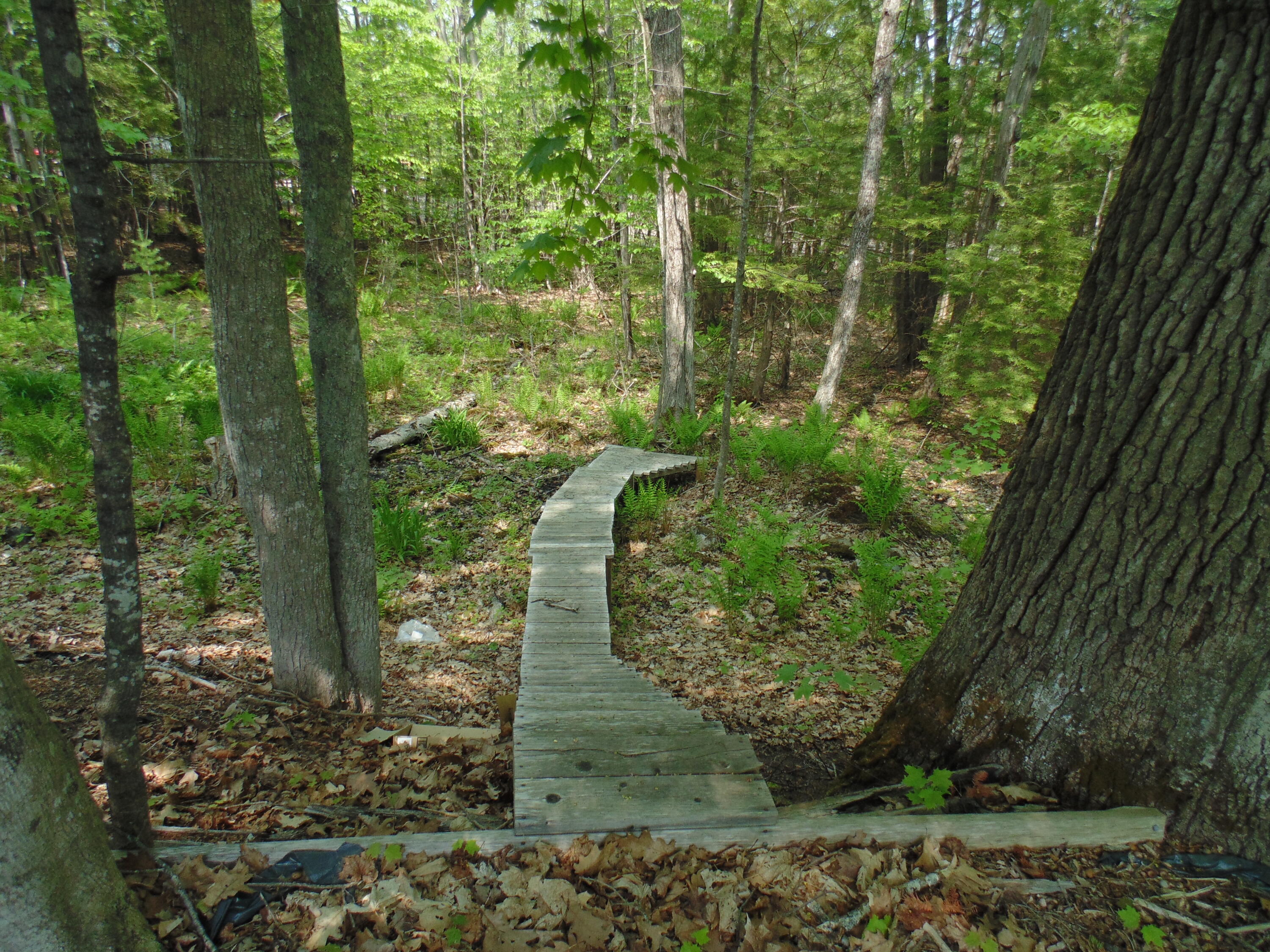 110 Standish Neck Road Standish, ME 04084 - Photo 36 of 39 DSC01421