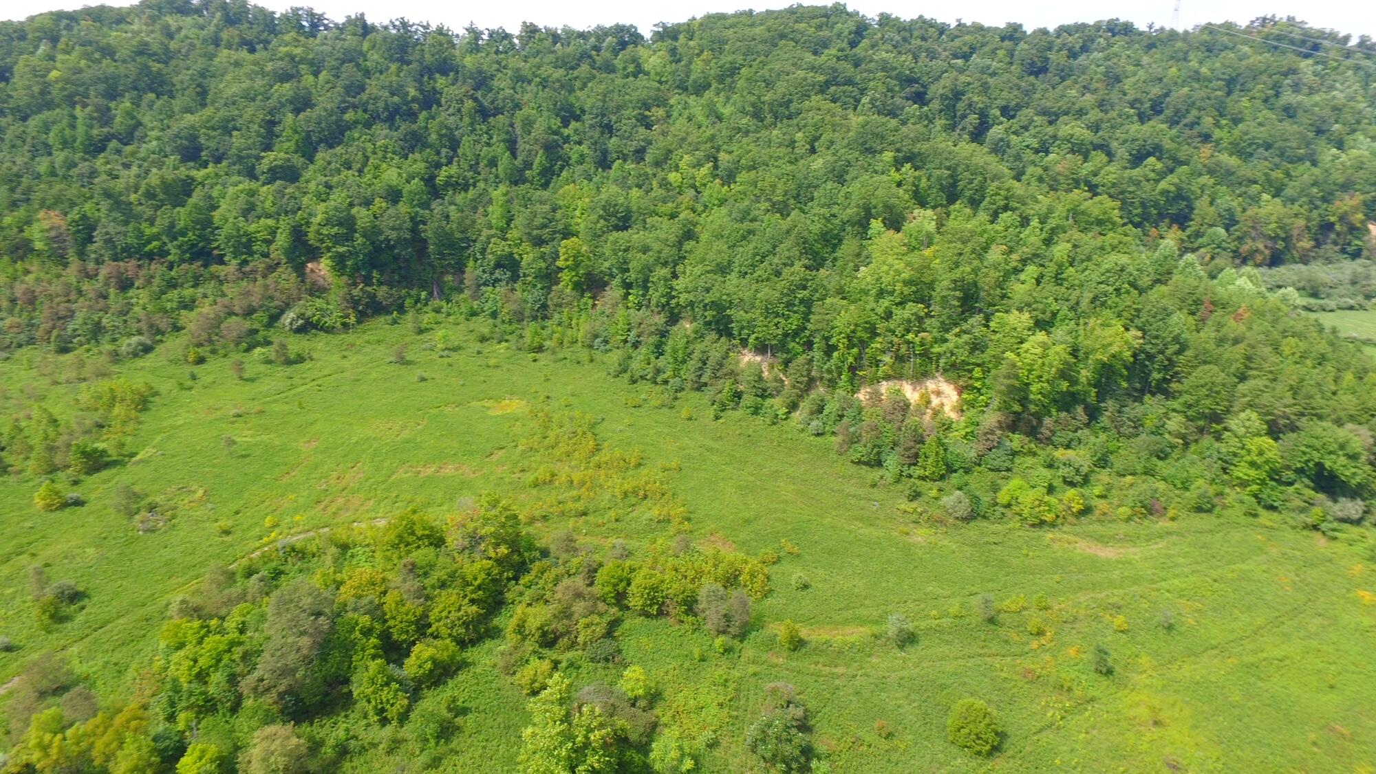 999 Lee Cemetery Road Woodbine, KY 40771 - Photo 11 of 13 IMG_2670
