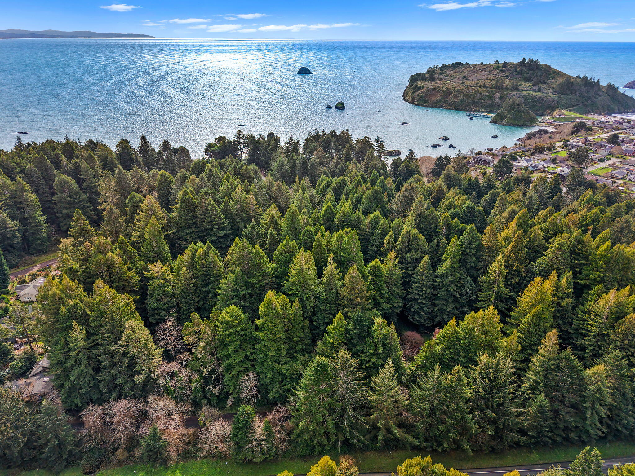 207 Lanford Road Trinidad, CA 95570 - Photo 4 of 16 4-web-or-mls-DJI_20260220140313_0179_D_1