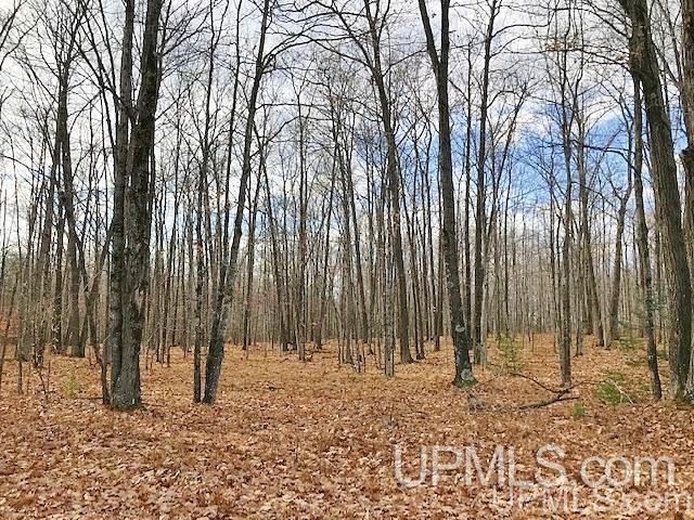 V-wi Point Lane Oconto, WI 54153 - Photo 1 of 7