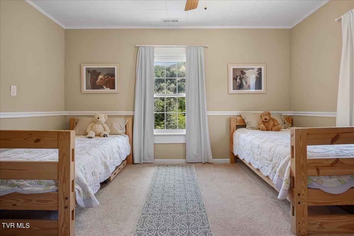 1036 Rittertown Road Hampton, TN 37658 - Photo 41 of 94 61-WBP-Rittertown-Rd-67