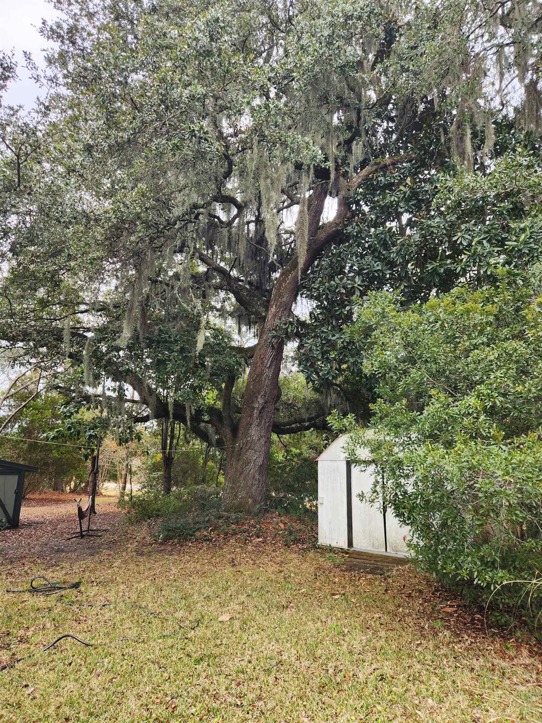 169 Crooked Island Circle Murrells Inlet, SC 29576 - Photo 24 of 34