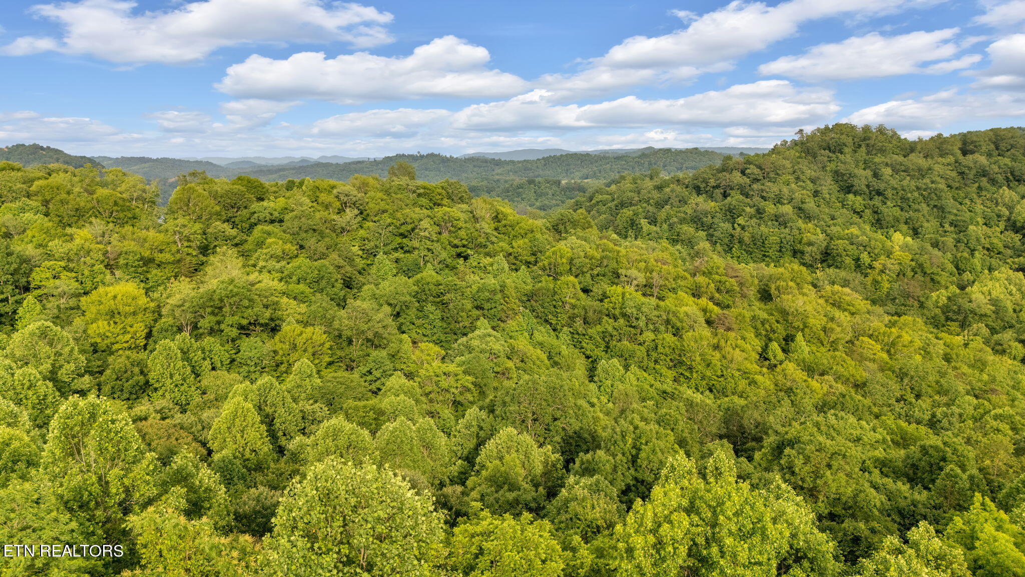 95 Chimney Rock Road New Tazewell, TN 37825 - Photo 17 of 20 17-web-or-mls-DJI_20240117090802_0245_D