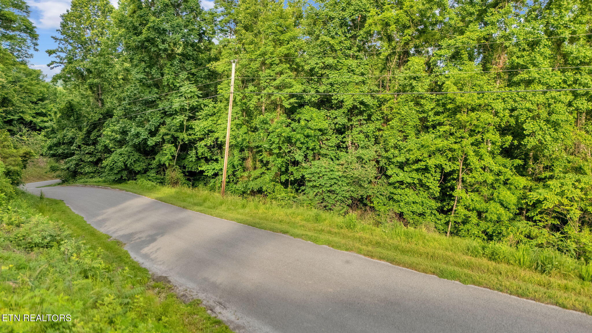 95 Chimney Rock Road New Tazewell, TN 37825 - Photo 3 of 20 16-web-or-mls-DJI_20240117090756_0242_D