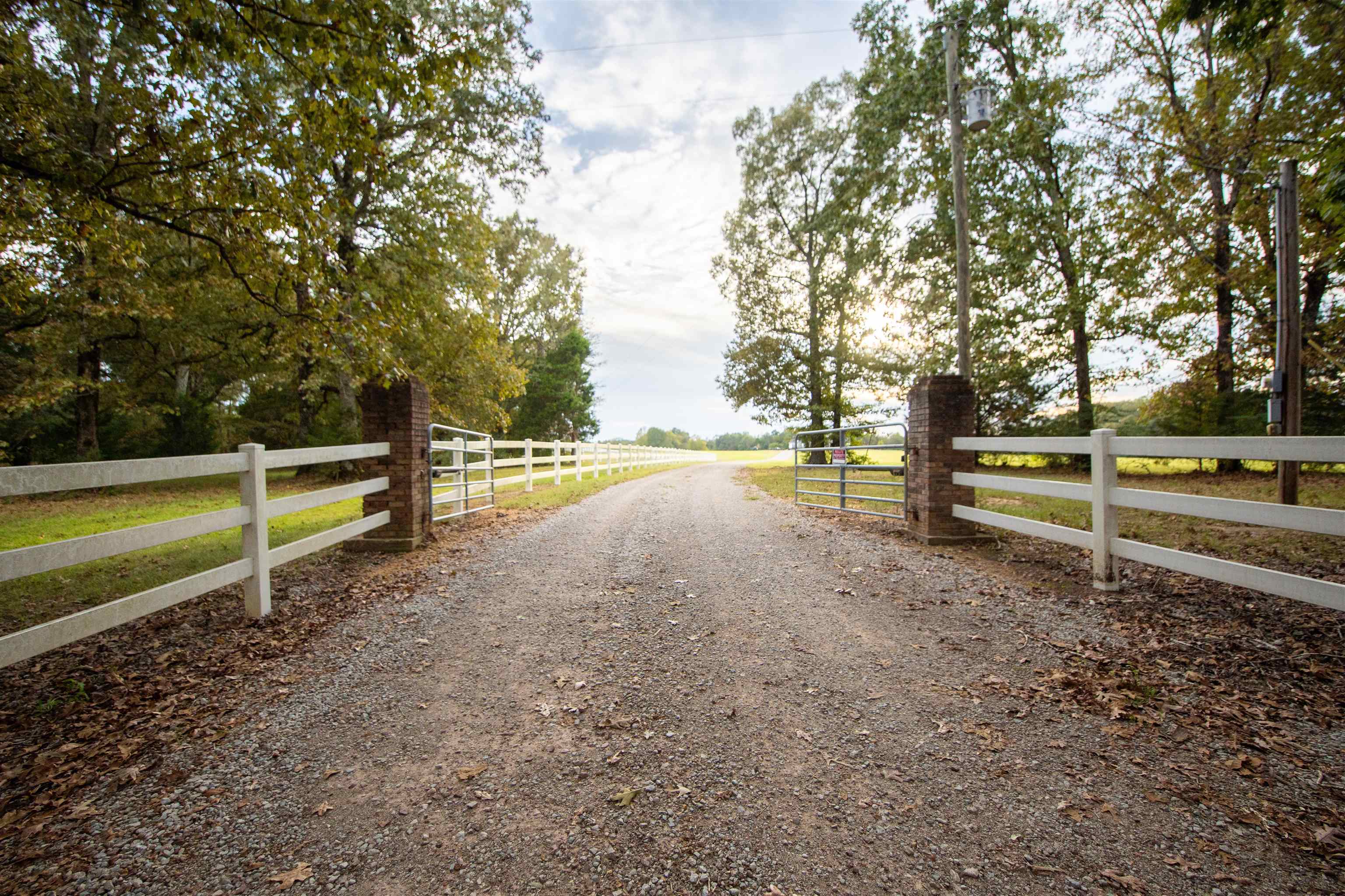 1795 Caney Branch Road Adamsville, TN 38310 - Photo 22 of 25