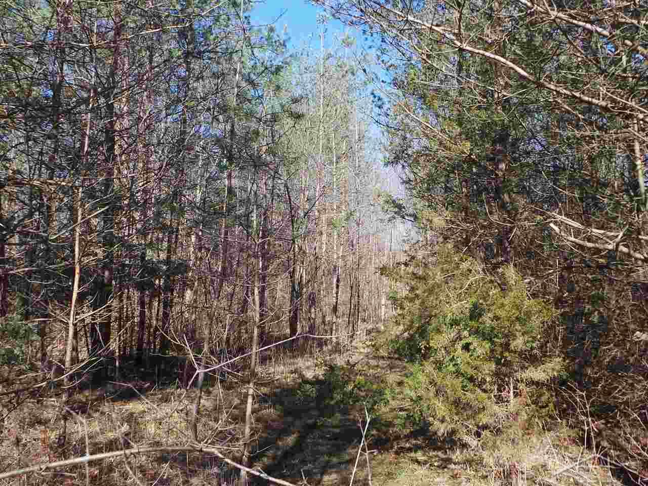 6120 North Seymour Road Flushing, MI 48433 - Photo 9 of 27 31315958-8.JPG