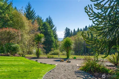 a view of a park with plants and trees