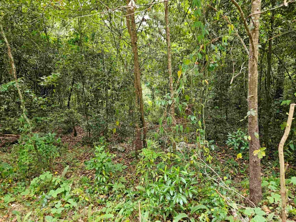 $87,000 | 2023 Dennis Street, Tallahassee, FL 32308