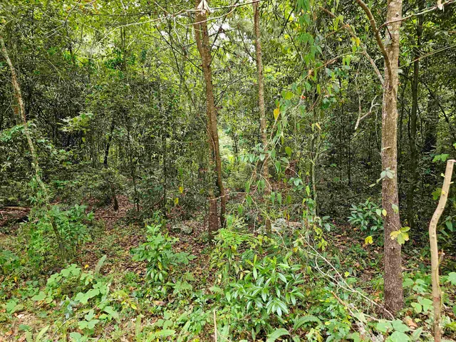 $87,000 | 2023 Dennis Street, Tallahassee, FL 32308