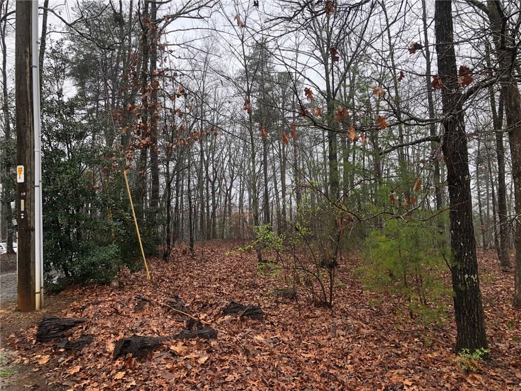0 Lukes Path Jasper, GA 30143 - Photo 1 of 1 Gallery Image 1
