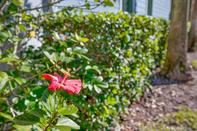 $339,900 | 12 Islander Court, St. Augustine, FL 32080