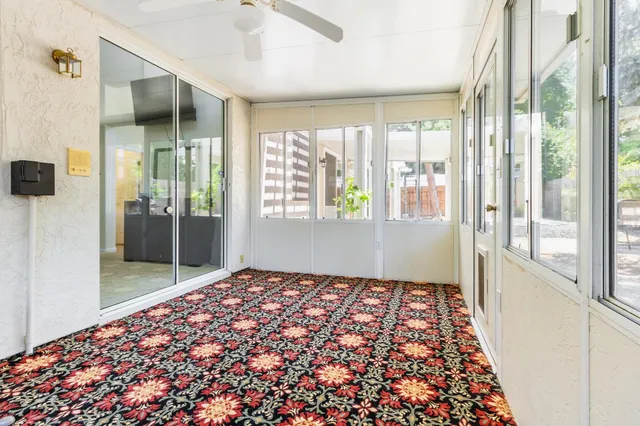 a view of backyard with wooden fence and a large tree