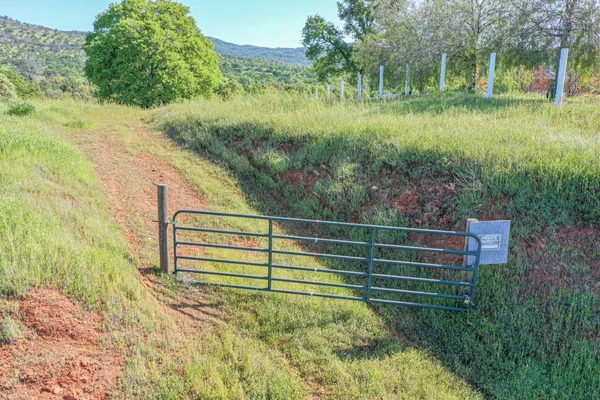 a view of outdoor space and yard