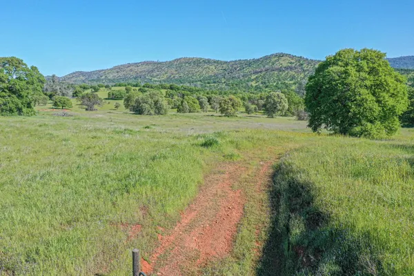 a view of a lush green outdoor space with a lake view