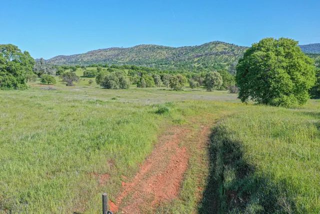 a view of a lush green outdoor space with a lake view
