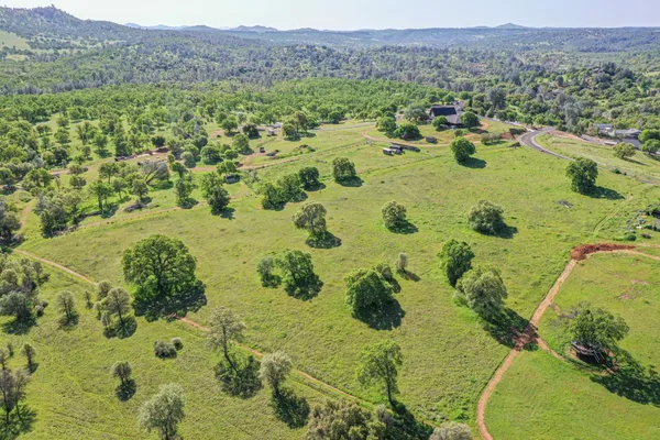 a view of a garden with an outdoor space