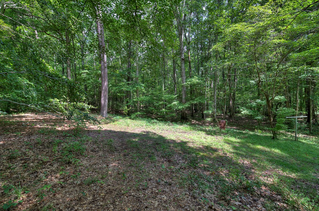 4677 Everett Springs Road, Unit TRACT 6 Armuchee, GA 30105 - Photo 7 of 38 Gallery Image 7