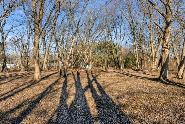 a view of a yard with a house