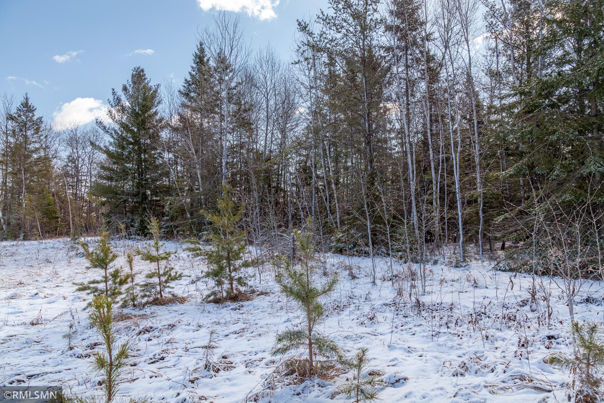 598 285th Avenue Frederic, WI 54837 - Photo 20 of 25 Gallery Image 20