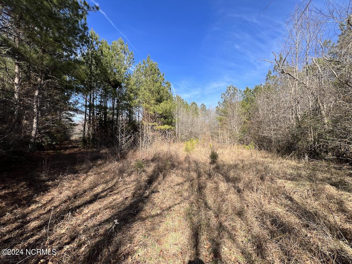 657 Collins Mill Road Castalia, NC 27816 - Photo 107 of 148 IMG_3485