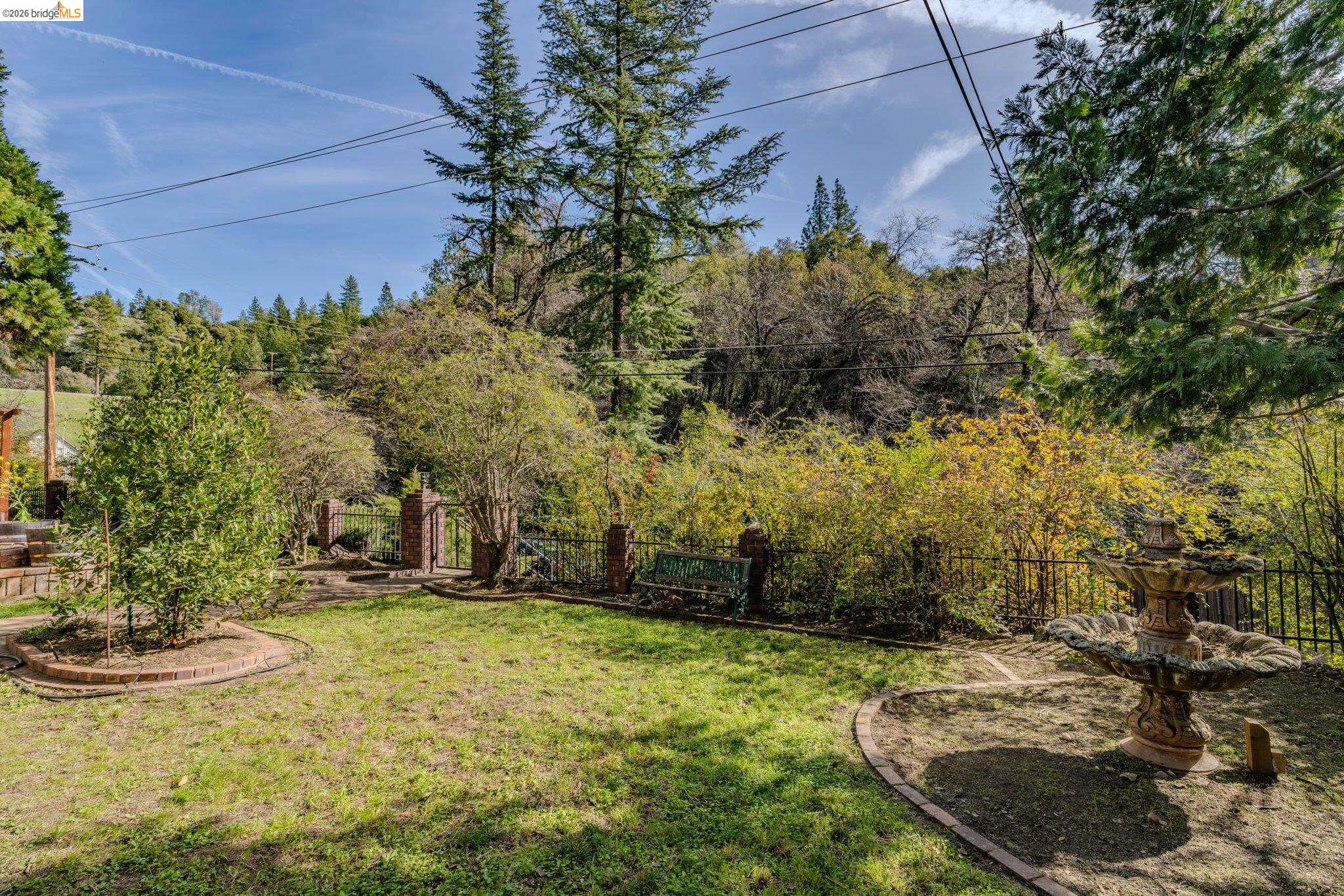 731 Dam Road Murphys, CA 95247 - Photo 49 of 60 a view of a backyard