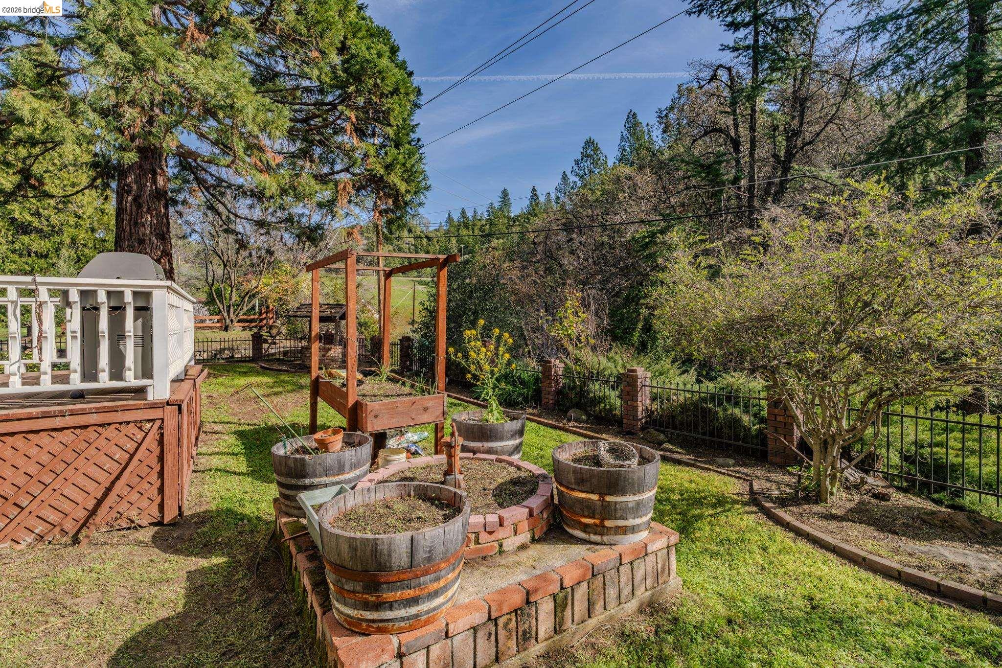 731 Dam Road Murphys, CA 95247 - Photo 52 of 60 a view of a patio with couches chairs and a fire pit with large trees