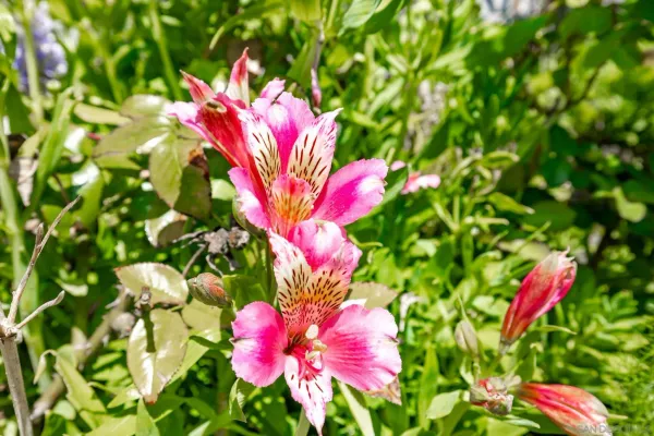 $720,000 | 5177 Loma Verde, Oceanside, CA 92056