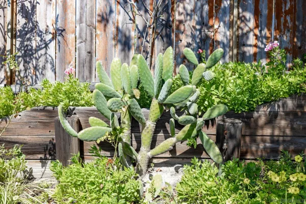 $720,000 | 5177 Loma Verde, Oceanside, CA 92056