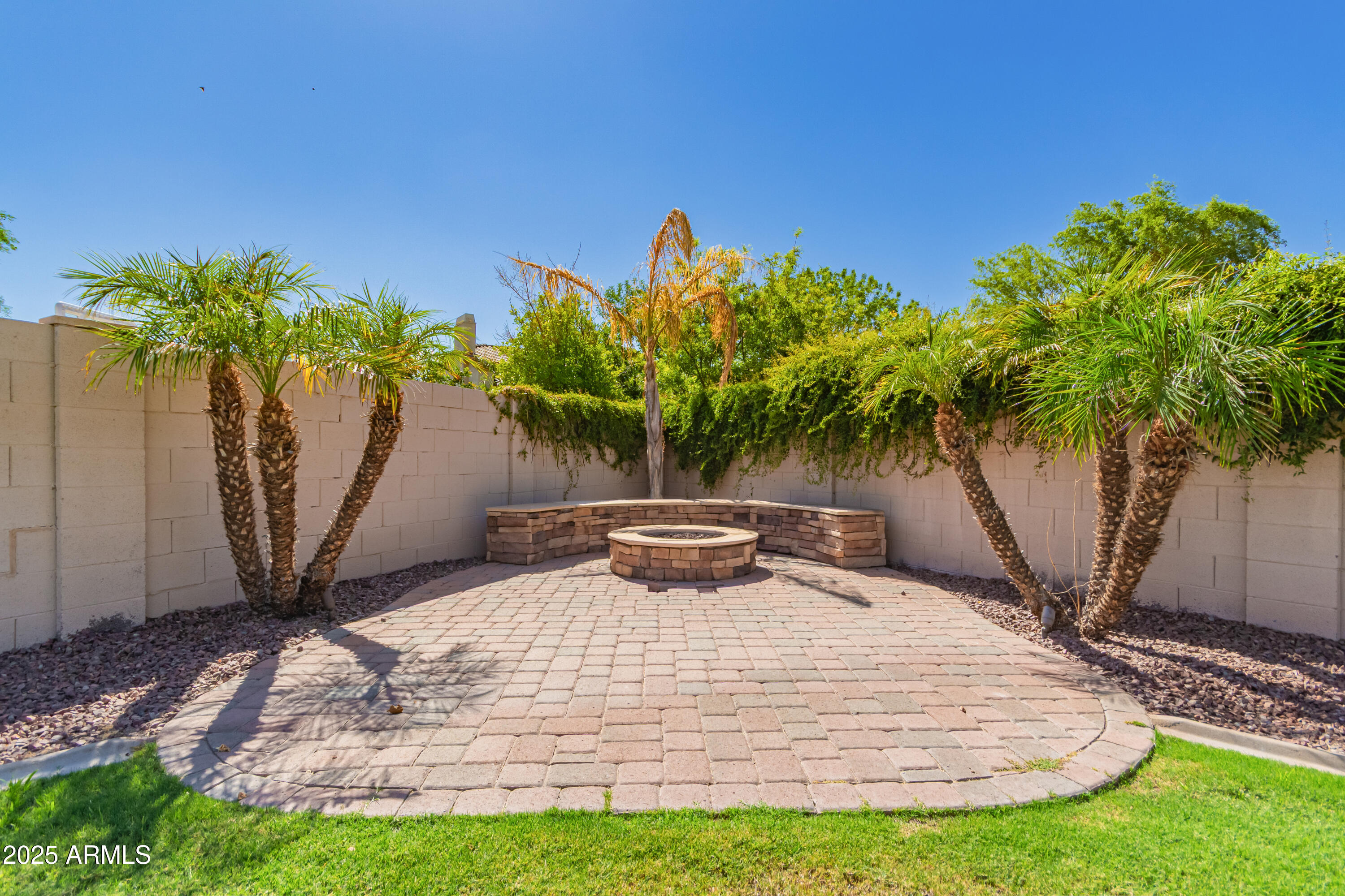 4584 East Reins Road Gilbert, AZ 85297 - Photo 47 of 58 a view of a backyard with potted plants