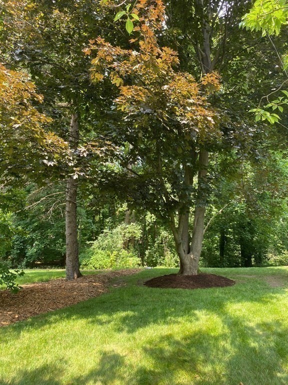 9 Adrienne Road Walpole, MA 02032 - Photo 31 of 36 Gallery Image 31