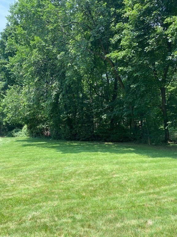 9 Adrienne Road Walpole, MA 02032 - Photo 35 of 36 Gallery Image 35