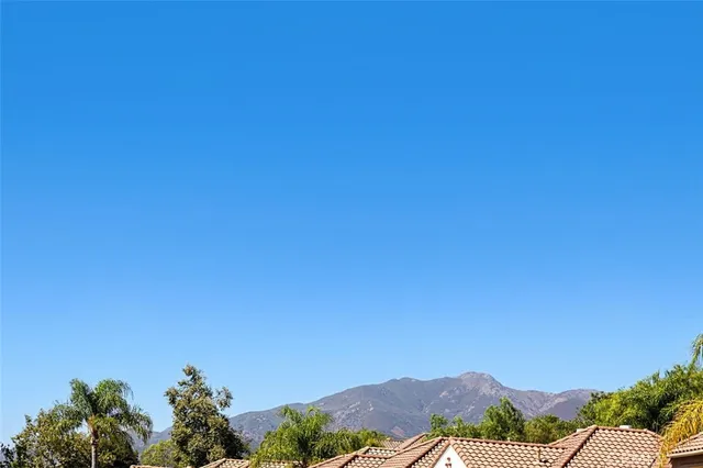 a view of a dry yard with plants and mountain view