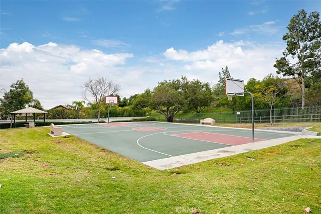 a view of a park with large trees