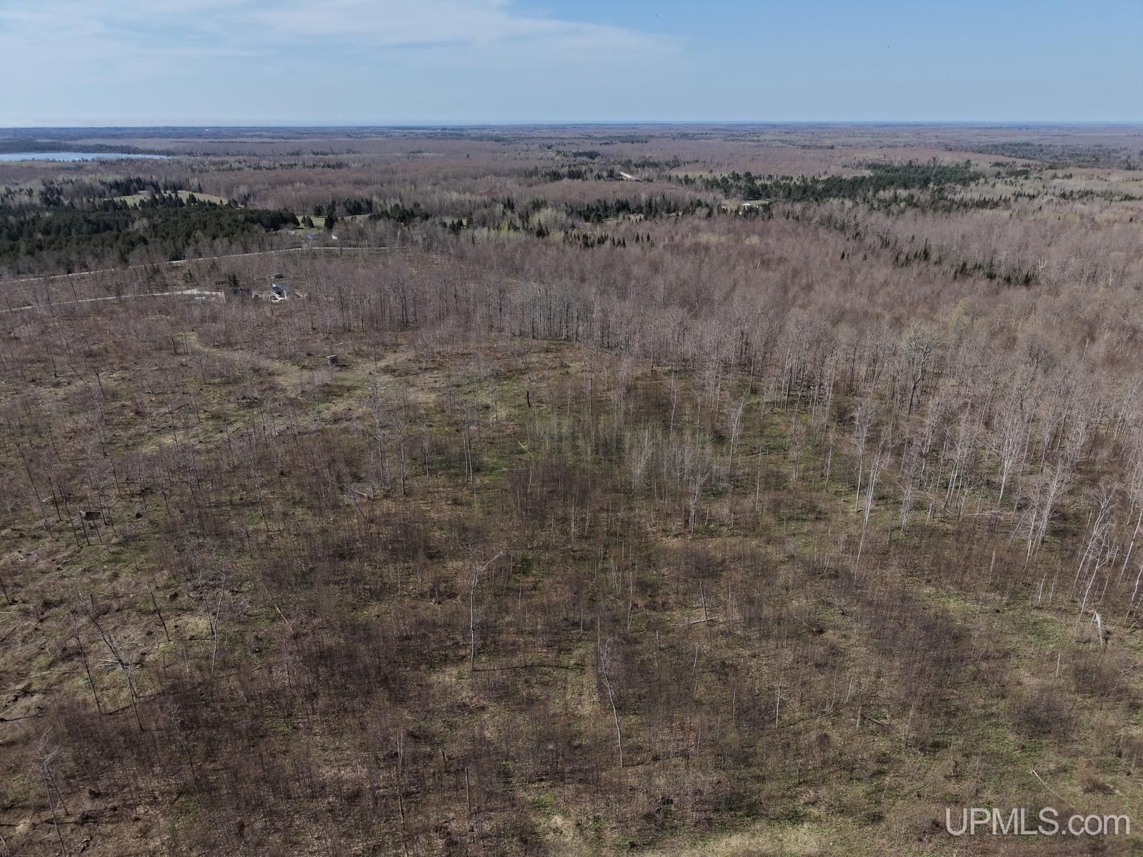 2493 Letson Road Gulliver, MI 49840 - Photo 37 of 56