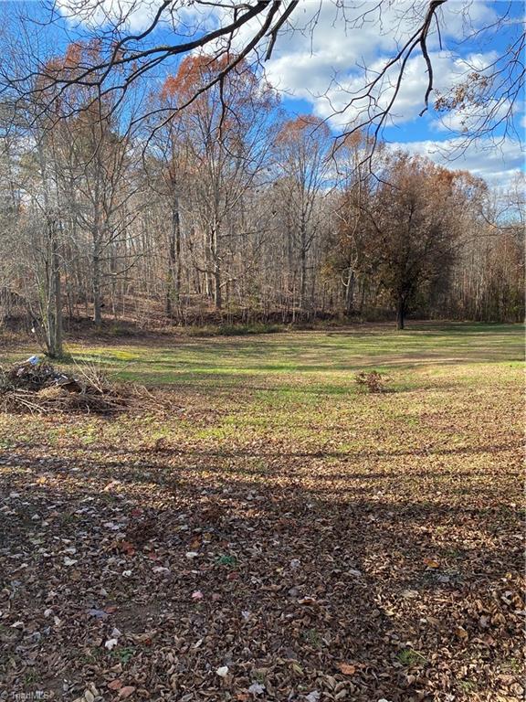 2729 Old Mountain Road Trinity, NC 27370 - Photo 2 of 9 Back Yard