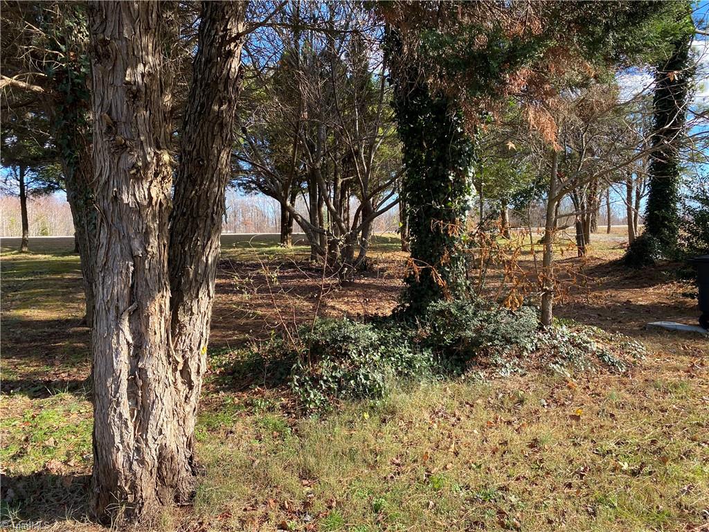 2729 Old Mountain Road Trinity, NC 27370 - Photo 5 of 9 Front Yard