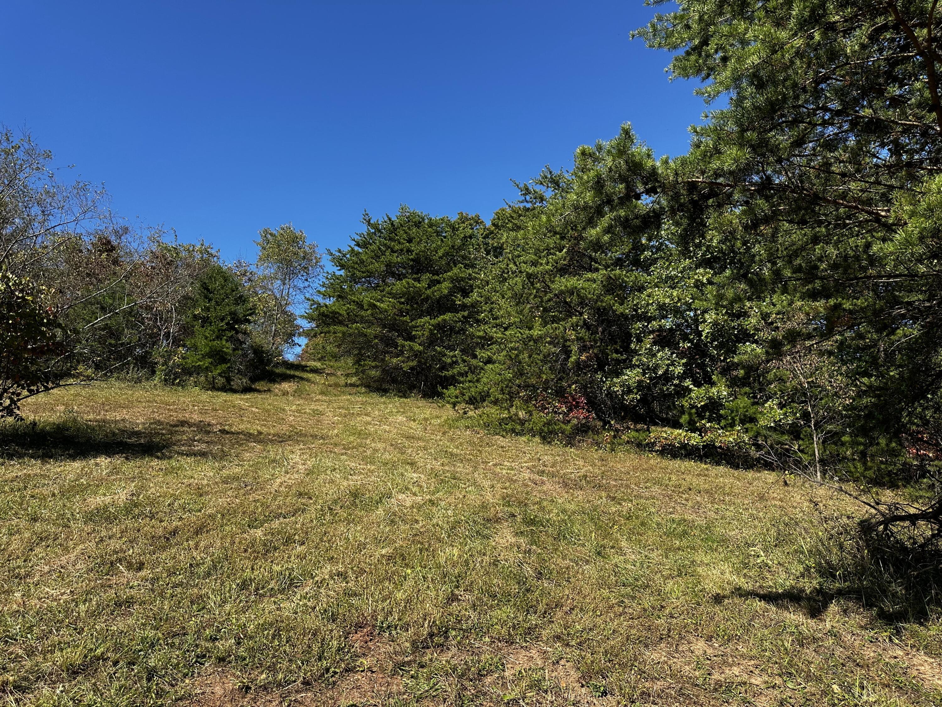865 Hull Road, Unit TRACT 13 WOODS WAYNE FOREST) Patriot, OH 45658 - Photo 35 of 57 20241008_175451325_iOS