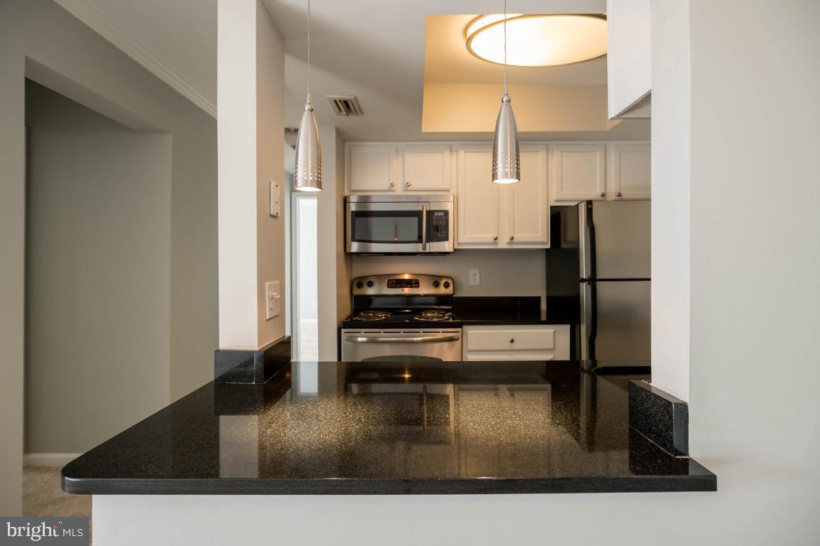 14801 Rydell Road, Unit 303 Centreville, VA 20121 - Photo 12 of 23