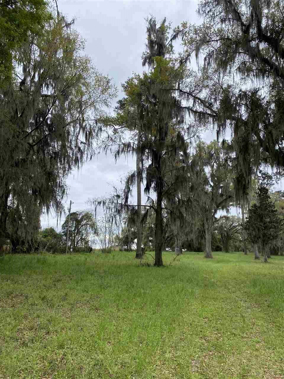 Vacant Silver Lake Road Monticello, FL 32344 - Photo 1 of 20 Gallery Image 1