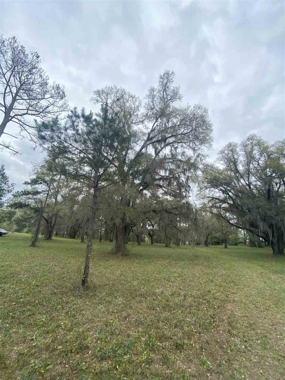 Vacant Silver Lake Road Monticello, FL 32344 - Photo 11 of 20 Gallery Image 11