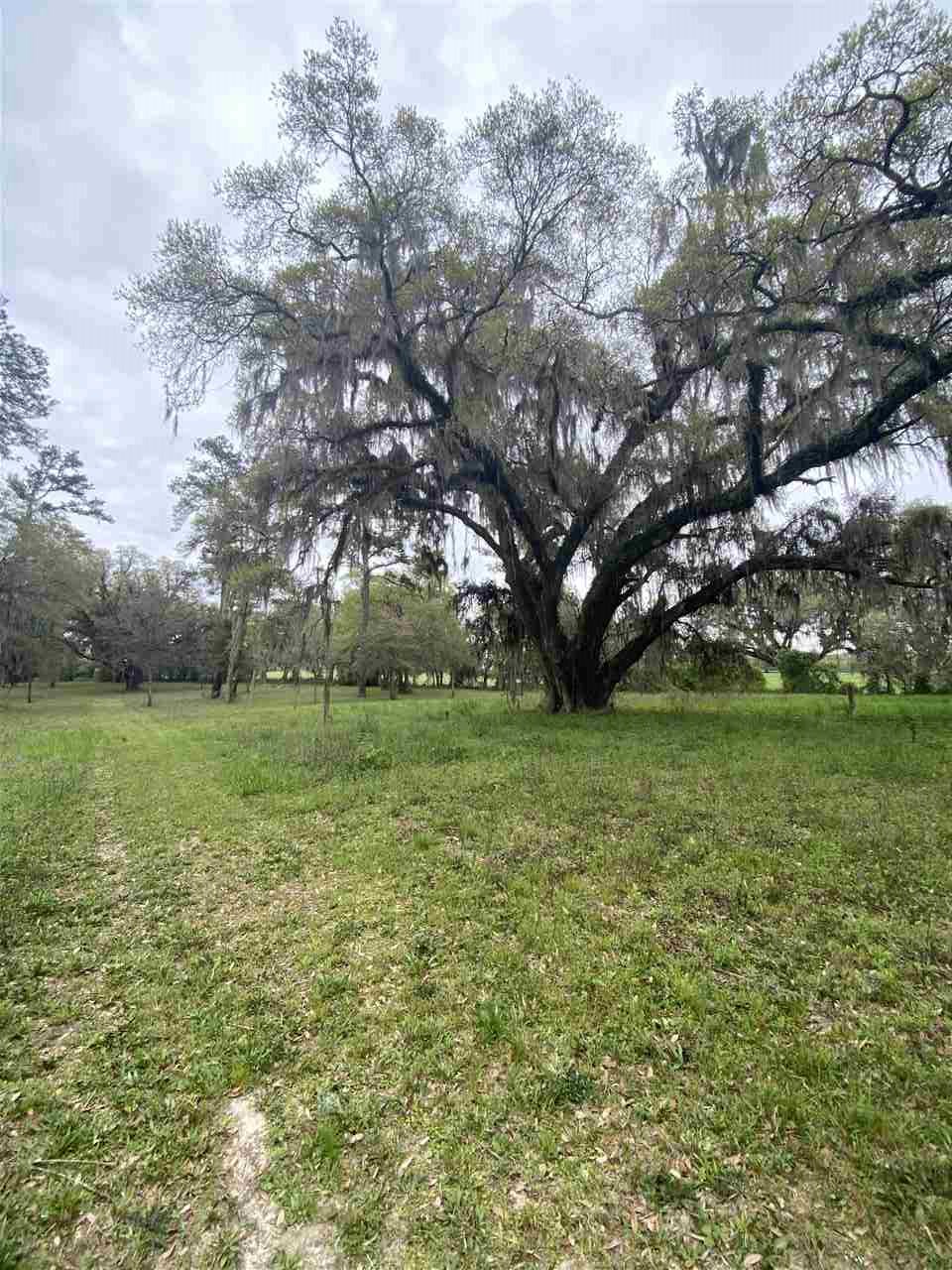 Vacant Silver Lake Road Monticello, FL 32344 - Photo 13 of 20 Gallery Image 13