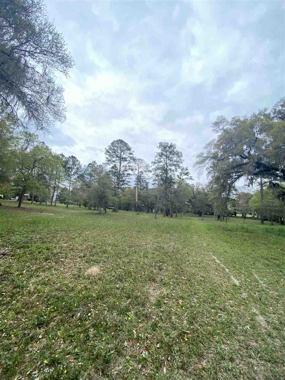Vacant Silver Lake Road Monticello, FL 32344 - Photo 15 of 20 Gallery Image 15