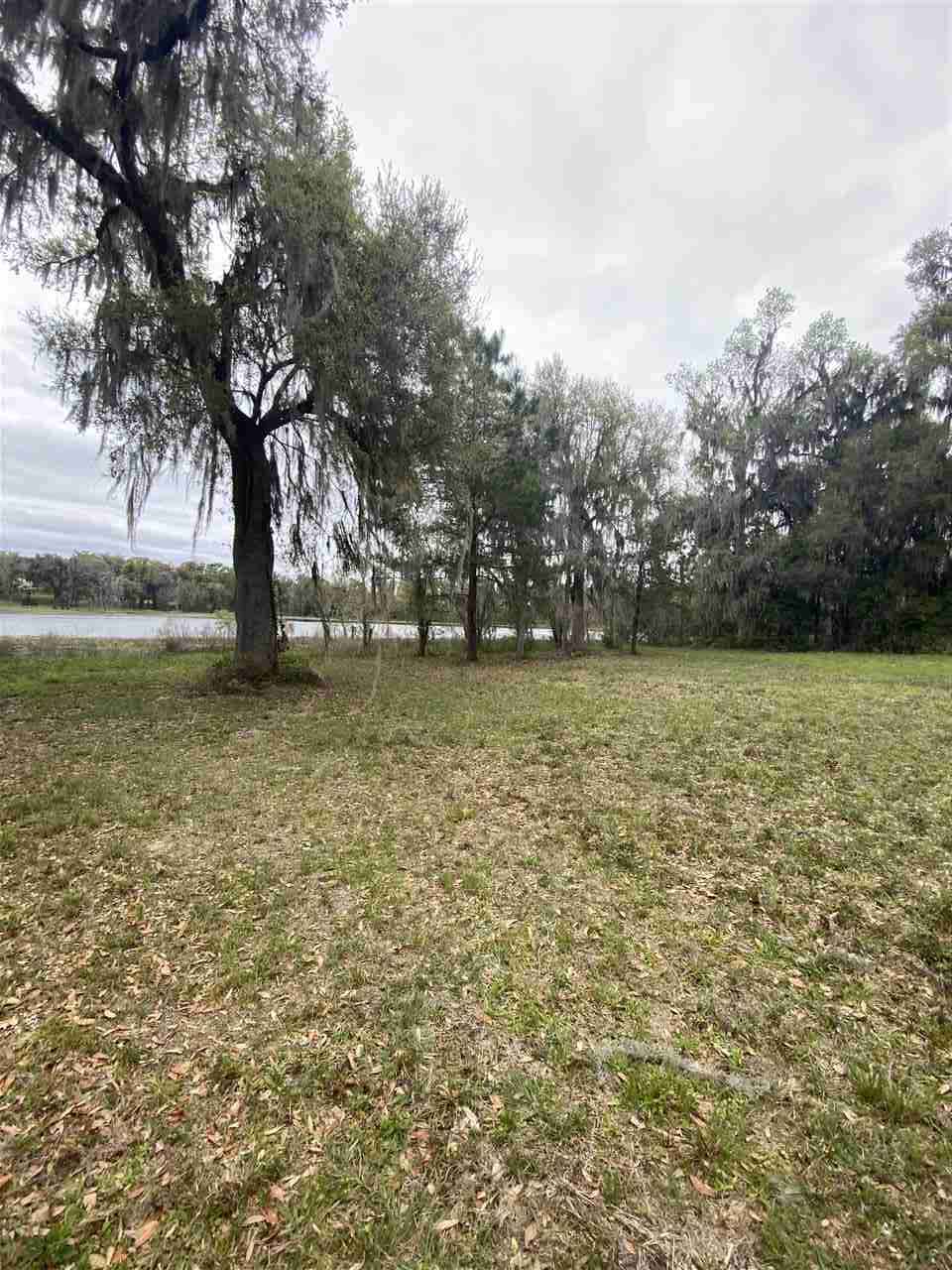 Vacant Silver Lake Road Monticello, FL 32344 - Photo 18 of 20 Gallery Image 18